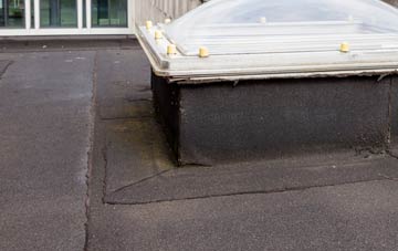 disadvantages of Holme Hale flat roofs