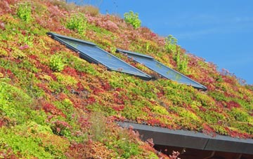 Holme Hale living roof systems
